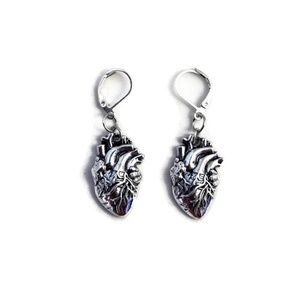 Anatomical Heart Earrings